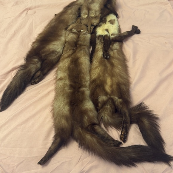 Genuine mink fur scarf - Picture 6 of 6